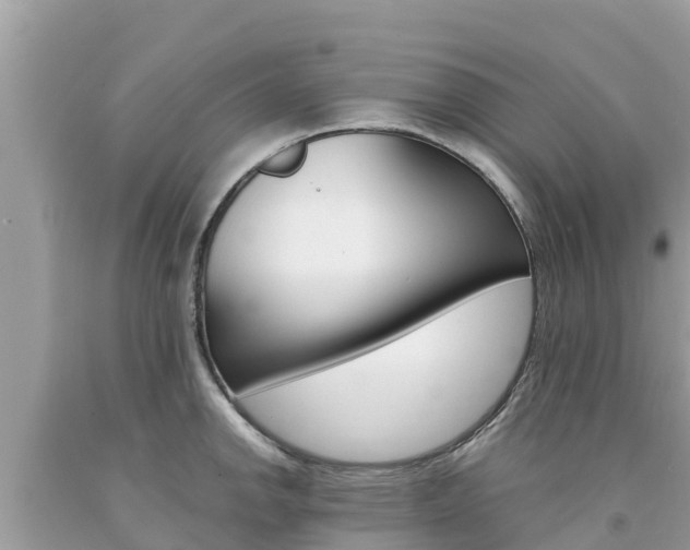 X0000094181142200710260926