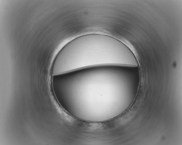 X0000094181144200710260926