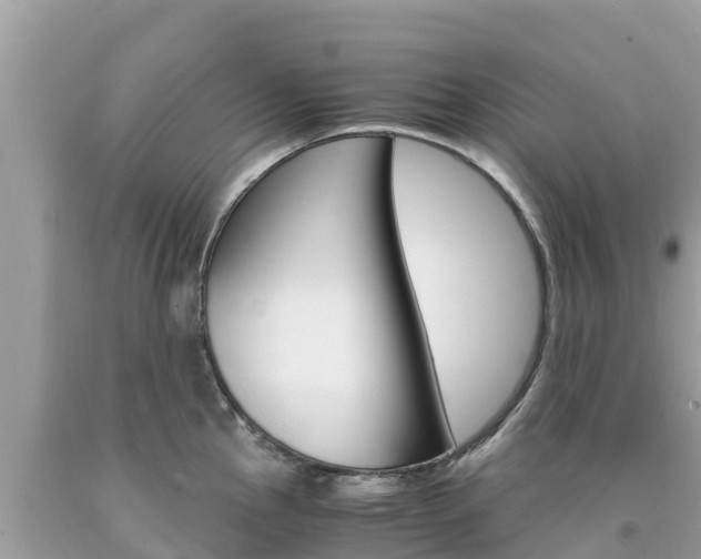 X0000094181145200710260926