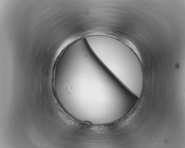 X0000094181146200710260926
