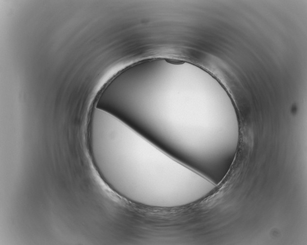 X0000094181147200710260926
