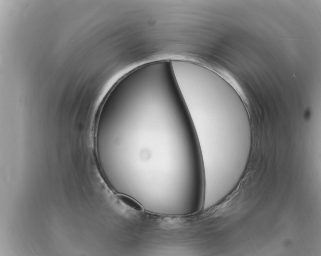 X0000094181148200710260926