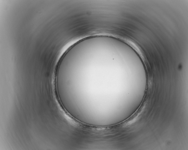 X0000094181149200710260926