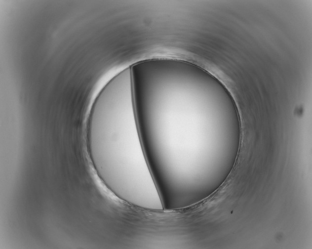 X0000094181152200710260926