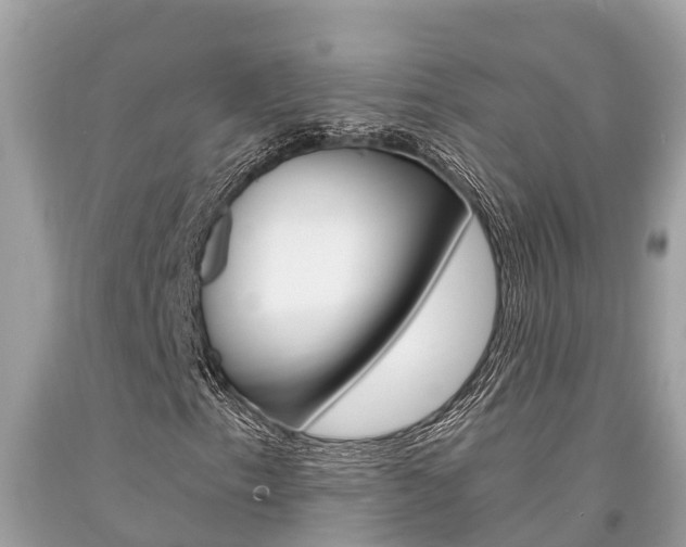 X0000094181153200710260925