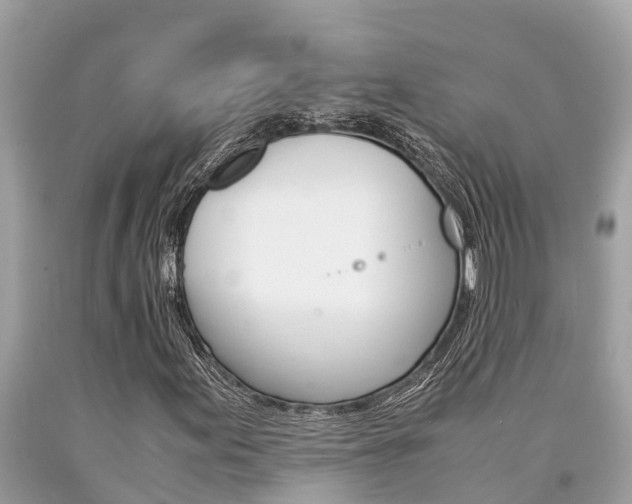 X0000094181155200710260925