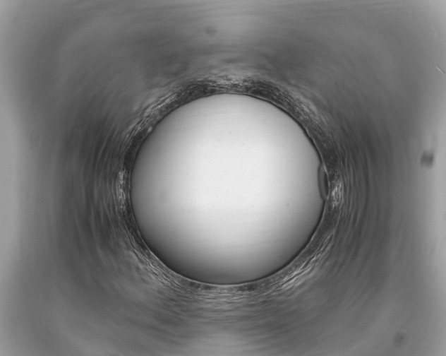 X0000094181156200710260925