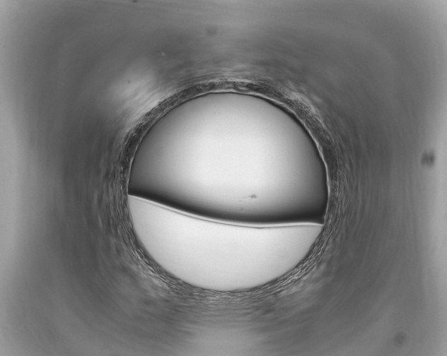 X0000094181159200710260925