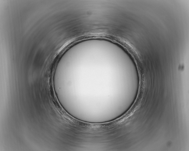 X0000094181162200710260925