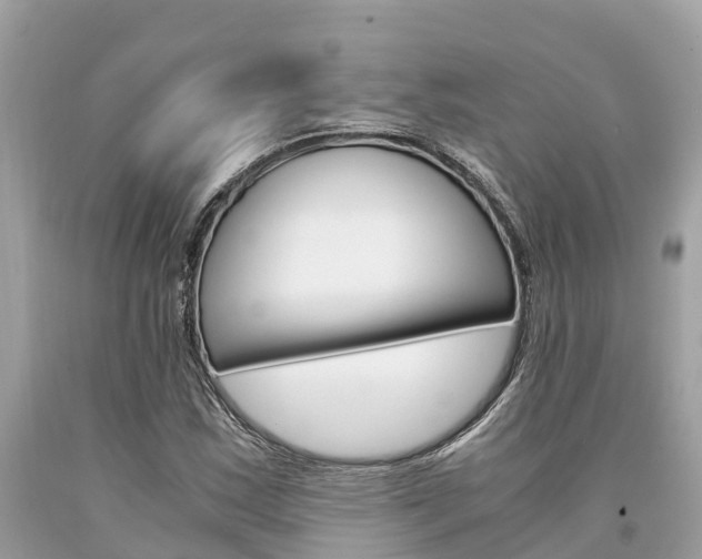 X0000094181163200710260925