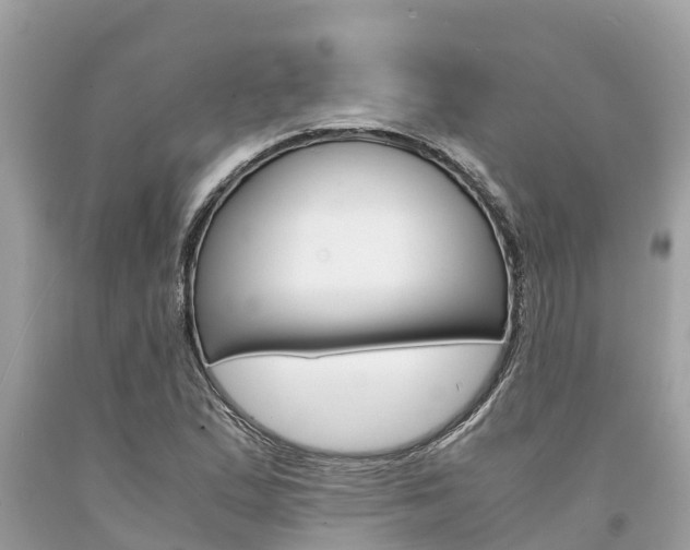 X0000094181167200710260925
