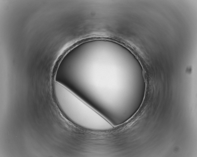 X0000094181168200710260925
