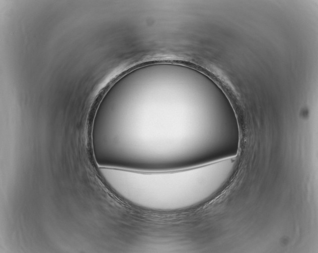 X0000094181173200710260925