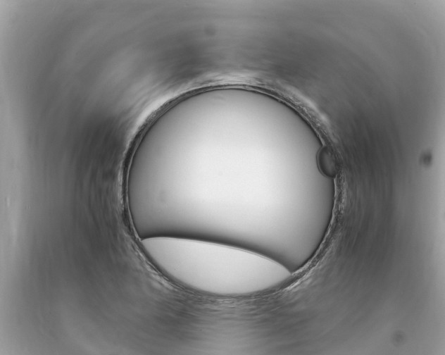 X0000094181174200710260925