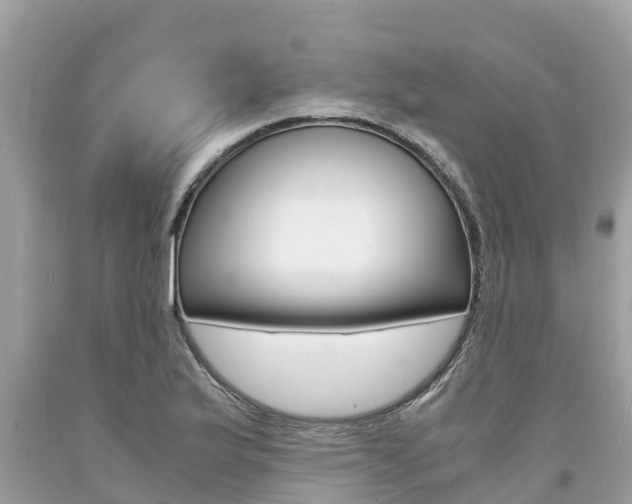 X0000094181175200710260925
