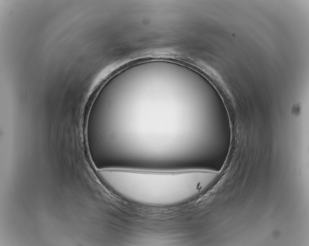 X0000094181176200710260925
