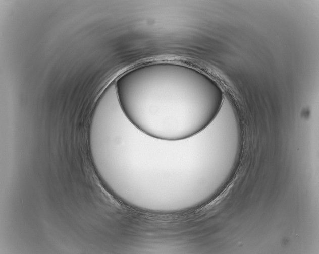 X0000094181177200710260925