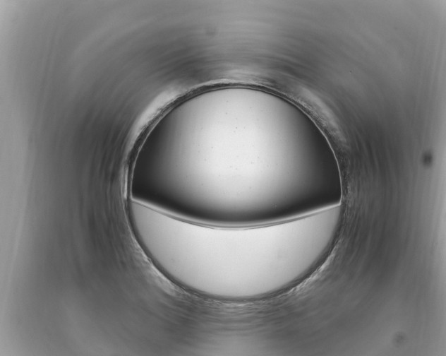 X0000094181180200710260925