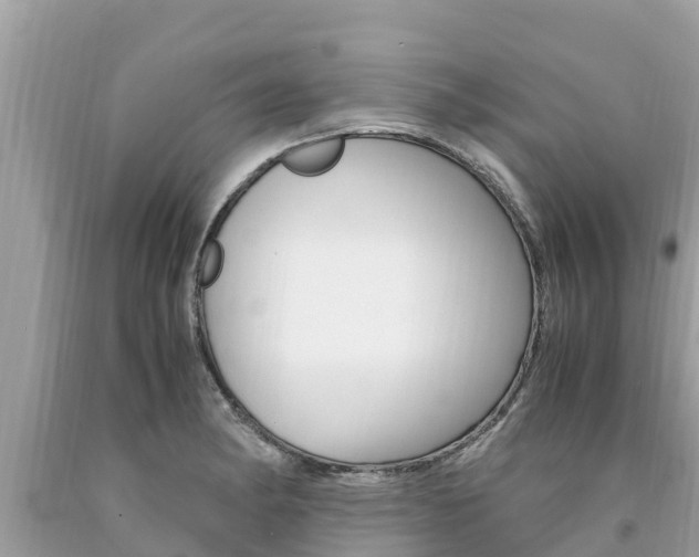 X0000094181182200710260925
