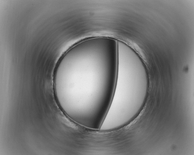 X0000094181184200710260925
