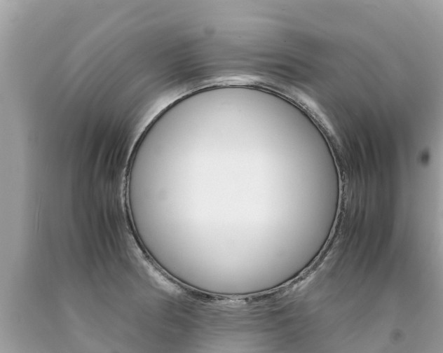 X0000094181186200710260925