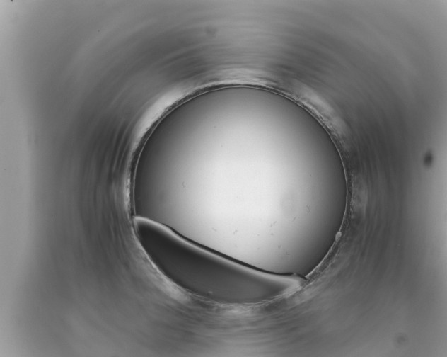 X0000094181188200710260925