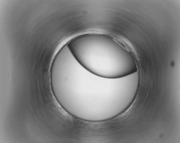 X0000094181192200710260925