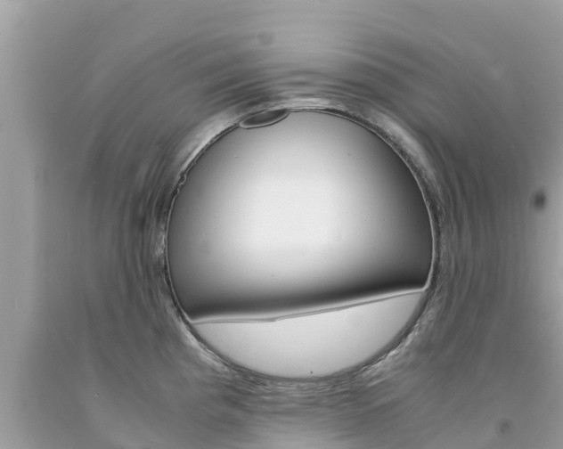 X0000094181193200710260925