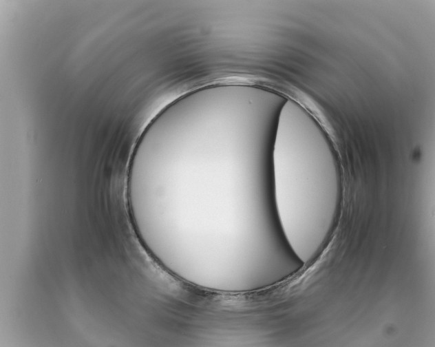 X0000094181194200710260925