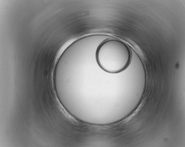 X0000094181196200710260925