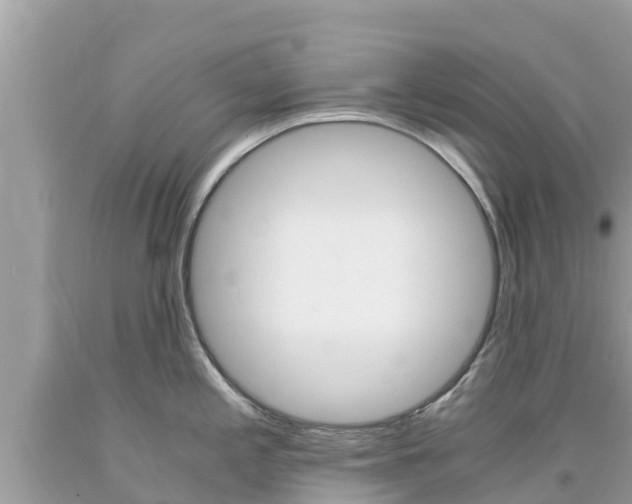 X0000094181197200710260925