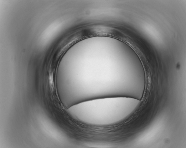 X0000094181198200710260925