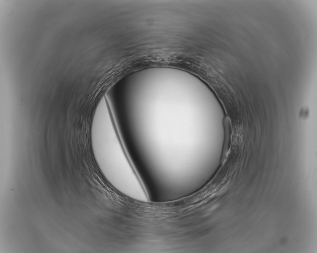 X0000094181202200710260924