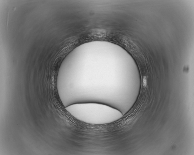 X0000094181203200710260924
