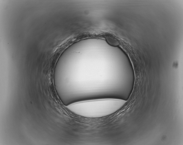 X0000094181205200710260924