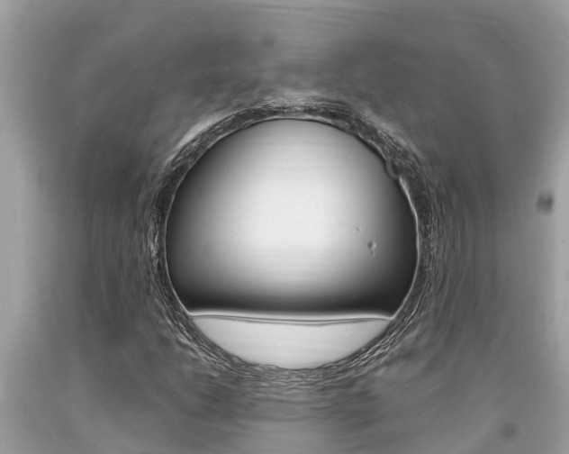 X0000094181206200710260924