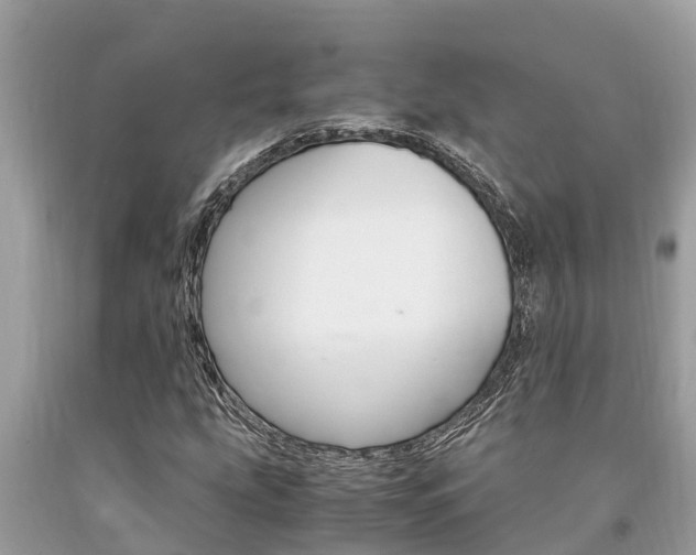 X0000094181207200710260924
