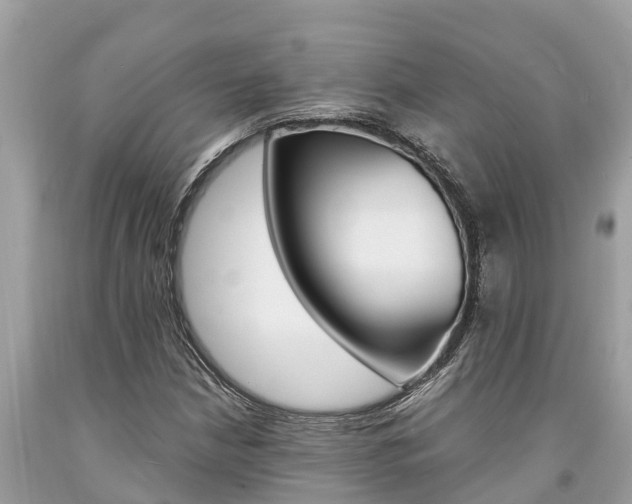 X0000094181210200710260924