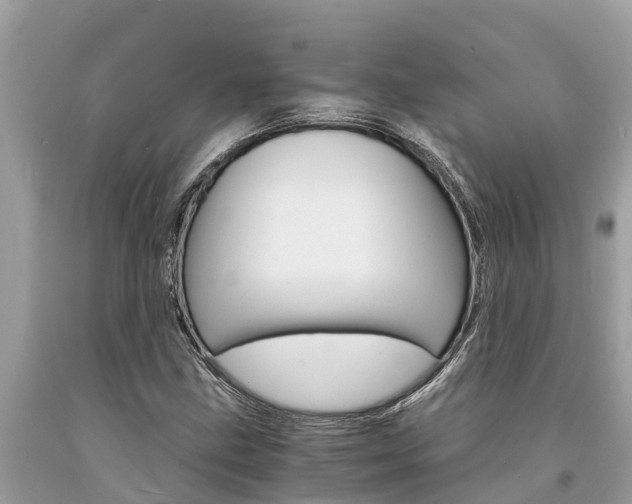 X0000094181211200710260924