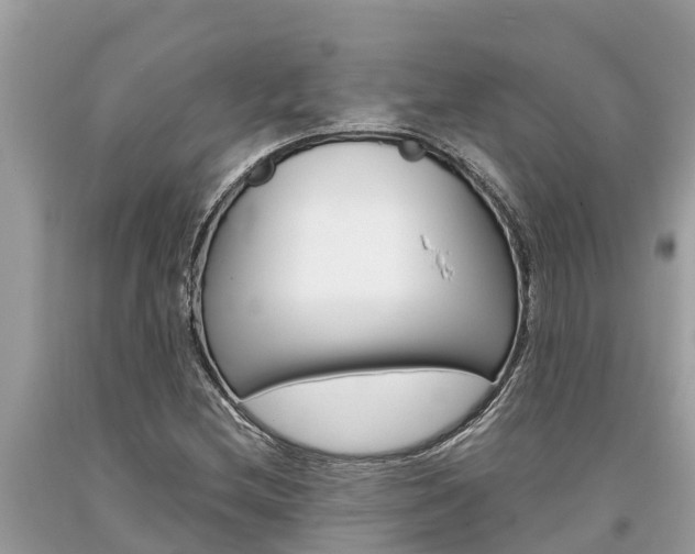 X0000094181212200710260924