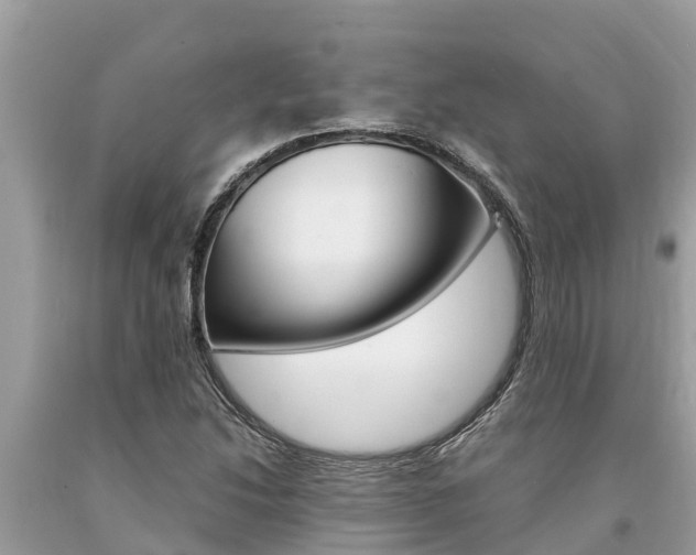 X0000094181214200710260924