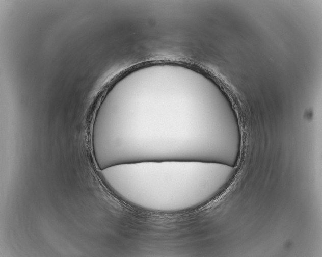 X0000094181215200710260924