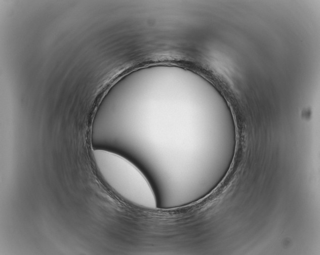 X0000094181217200710260924