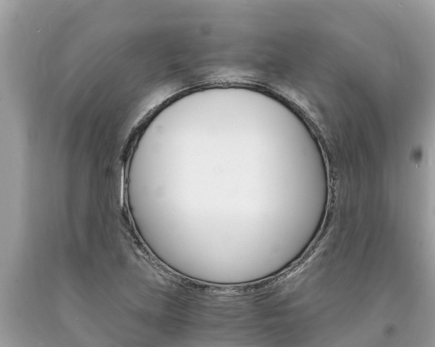 X0000094181219200710260924