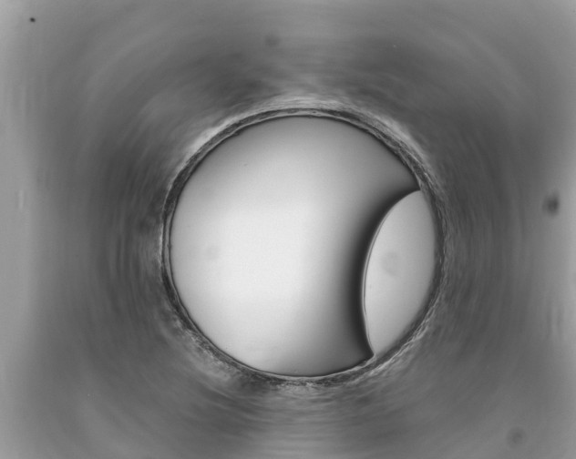 X0000094181220200710260924