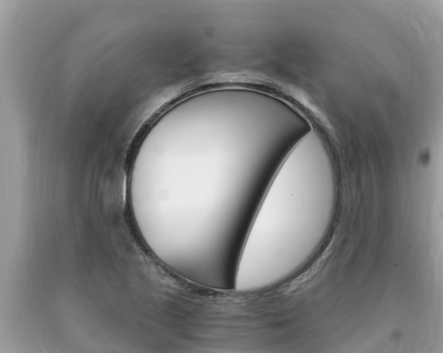 X0000094181221200710260924