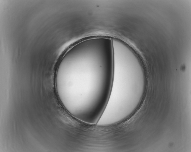 X0000094181222200710260924