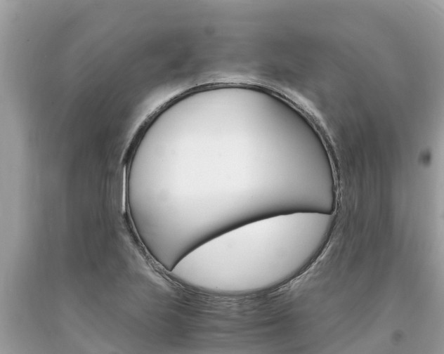 X0000094181223200710260924