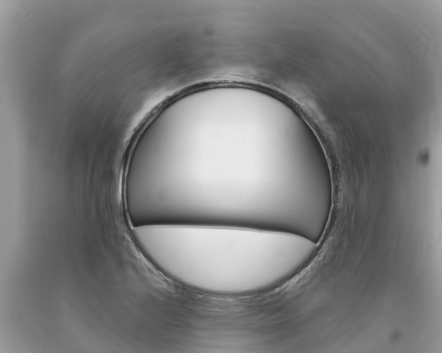 X0000094181224200710260924