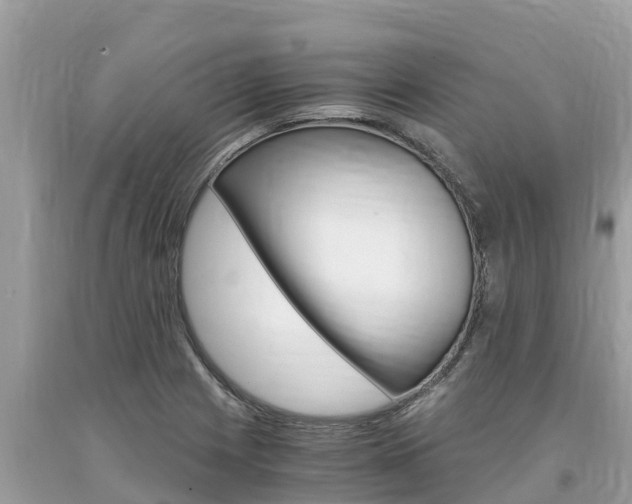 X0000094181225200710260924